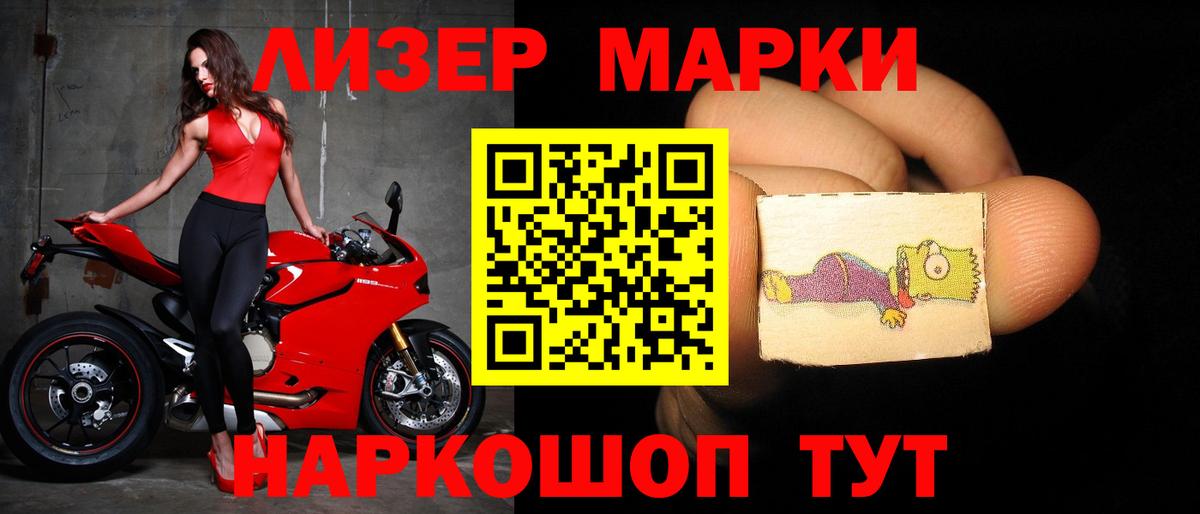 Псилоцибиновые грибы Можайск