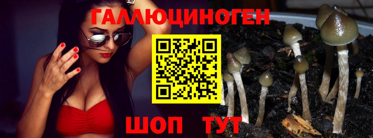 Псилоцибиновые грибы мухоморы Можайск
